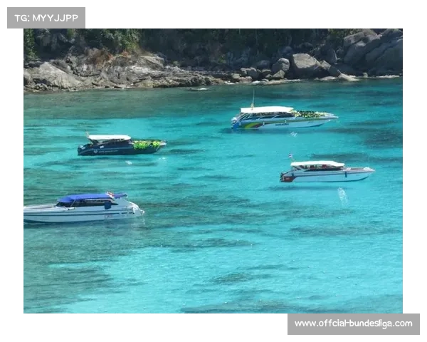 自由潜水赛事升级医学保障制度全面推行年度健康证明要求